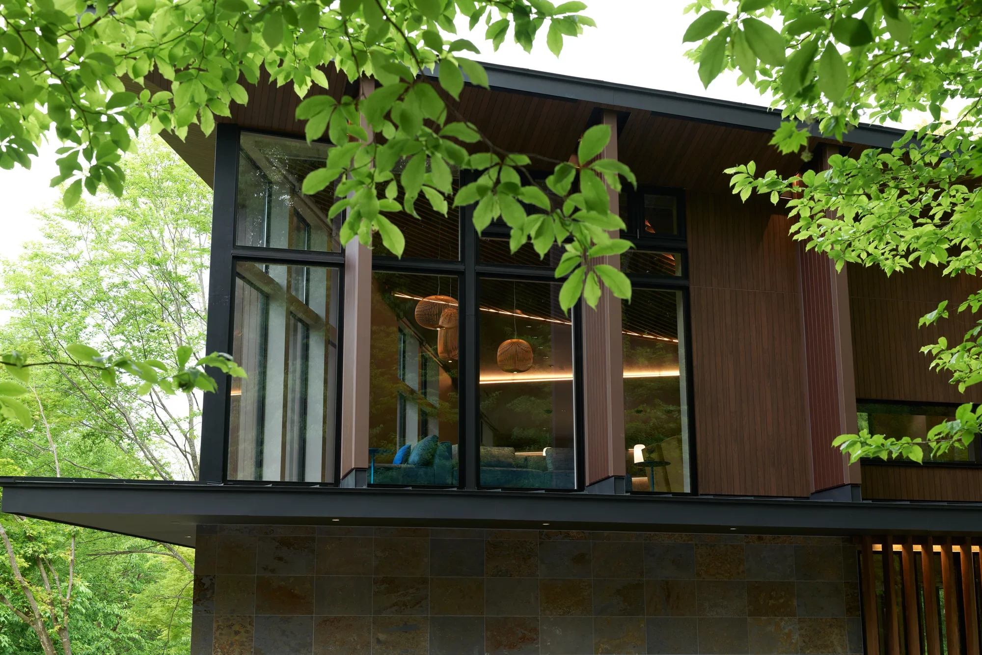 Living & Forest